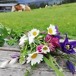 Berghaus Koglmoos