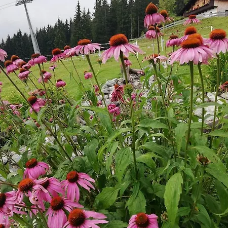 Guest house Berghaus Koglmoos 4*