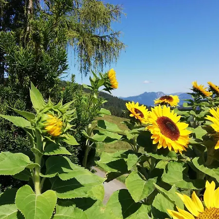 Berghaus Koglmoos 4* Auffach