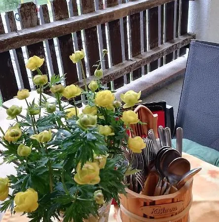 Guest house Berghaus Koglmoos