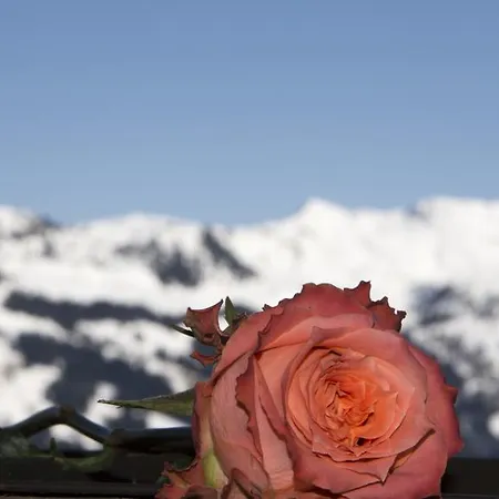 Berghaus Koglmoos Guest house