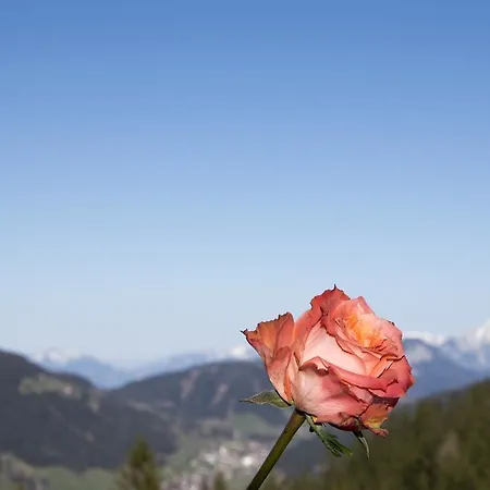 Berghaus Koglmoos 4*