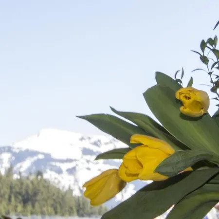 Berghaus Koglmoos 4* Auffach