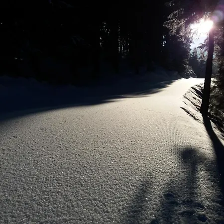 Berghaus Koglmoos Guest house 4*