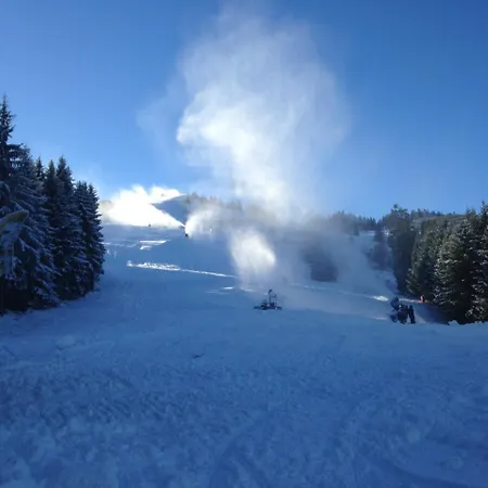 Guest house Berghaus Koglmoos