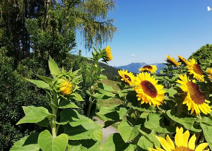 Berghaus Koglmoos 4* Auffach