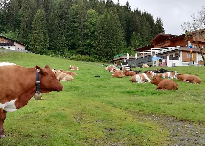 Berghaus Koglmoos Gæstehus 4*