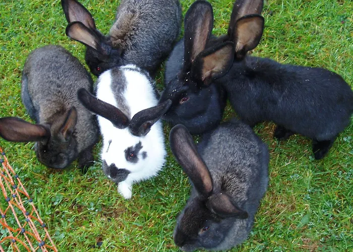 Berghaus Koglmoos Gæstehus