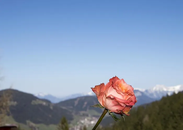 Berghaus Koglmoos 4*