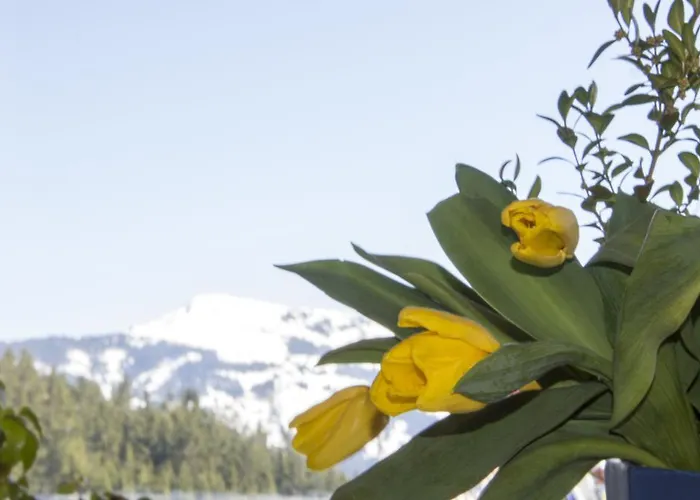 Berghaus Koglmoos 4* Auffach