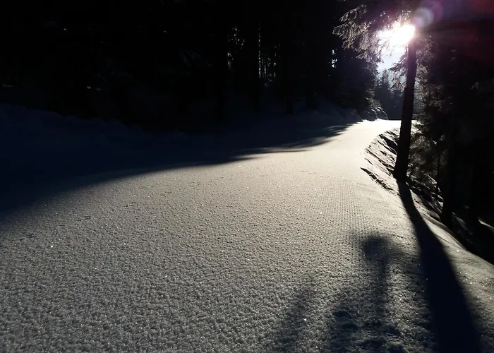 Berghaus Koglmoos Guest house 4*