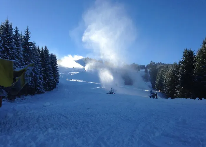 Gæstehus Berghaus Koglmoos