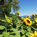 Berghaus Koglmoos 4* Auffach