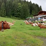 Berghaus Koglmoos Casa de hóspedes 4*