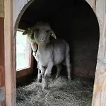 Berghaus Koglmoos 4* Auffach