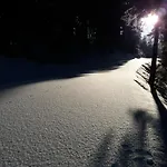 Berghaus Koglmoos Casa de hóspedes 4*