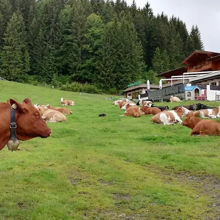 Berghaus Koglmoos Casa de hóspedes 4*