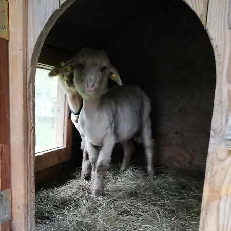 Berghaus Koglmoos 4* اوفاش